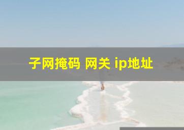 子网掩码 网关 ip地址